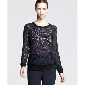 THEORY Jaidyn Sheer Lace Long Sleeve Crew Neck Top Elegant Navy Blue Sz P